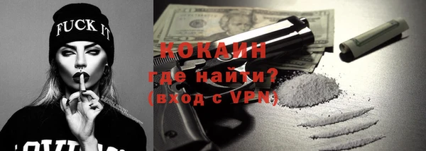 индика Вязники