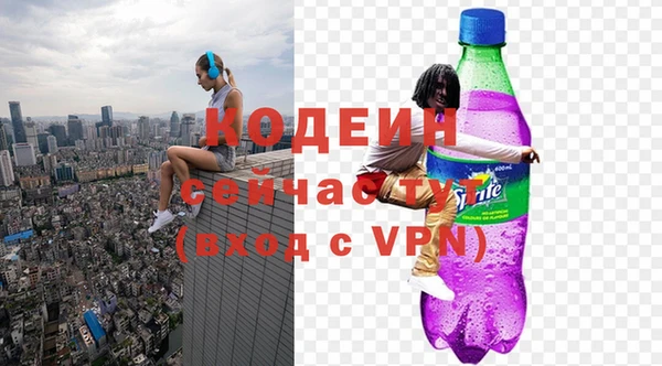 индика Вязники