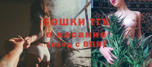 тгк Вяземский