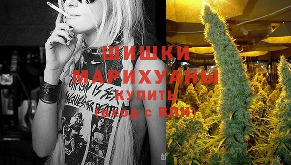 индика Вязники