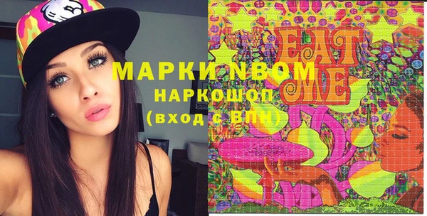 индика Вязники