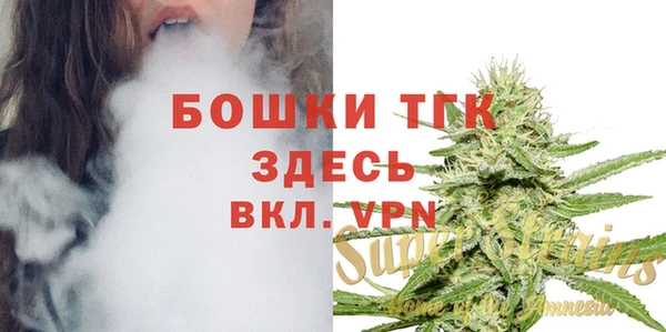 индика Вязники
