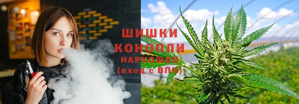 тгк Вяземский