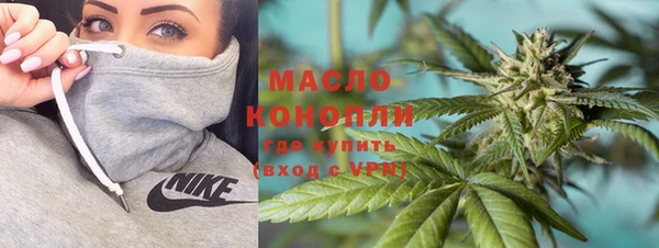 тгк Вяземский