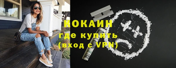 сатива Куйбышев