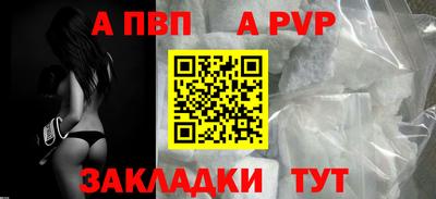 стафф Донской