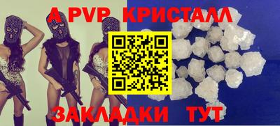 стафф Донской