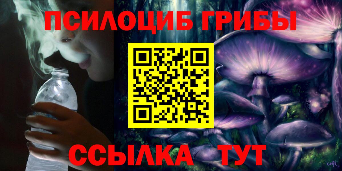 Псилоцибиновые грибы мицелий Малоярославец