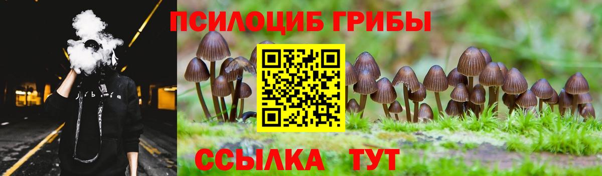 купить закладку  Малоярославец  Галлюциногенные грибы GOLDEN TEACHER  Галлюциногенные грибы Psilocybine cubensis 