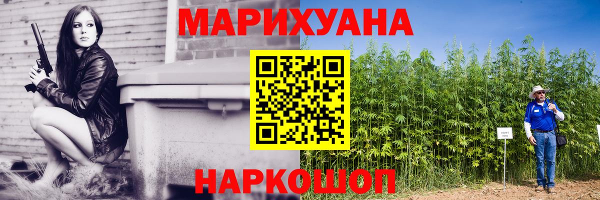 Канабис планчик Малоярославец
